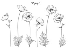 black and white poppy flowers with the words happy on it, hand drawn in ink