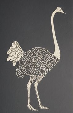 a drawing of an ostrich is shown on a gray background with white lines