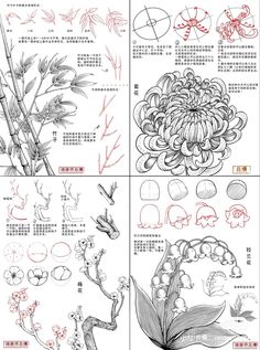 Foliage Drawing Tutorial, Flower Sketch Reference, How To Draw Ferns, How To Draw Plants, Flower Tutorial Drawing, Drawing Flowers Step By Step, Chinese Sketch