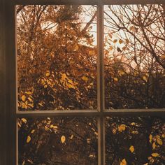 an open window with autumn leaves on the outside and trees in the backround