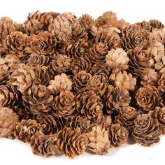 a pile of pine cones sitting next to each other on top of a white surface