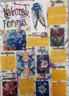 a poster with words and pictures on it that say natural forms, including an insect