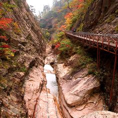 a bridge over a river in the middle of a rocky area with trees on both sides