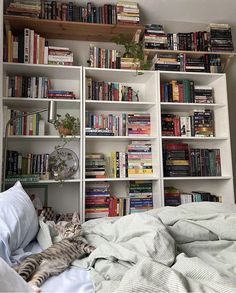 a cat laying on top of a bed next to a book shelf filled with books