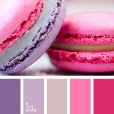 two macaroons with pink and purple glazes are shown in this color palette