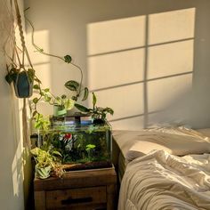 a bed room with a plant on top of it next to a window and a lamp