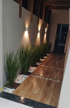 a hallway with some plants and lights on the wall next to it's entrance