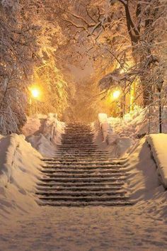 snow covered steps leading up to the top of a hill