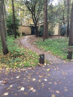 there are many trees and bushes in the park with leaves on the ground around them