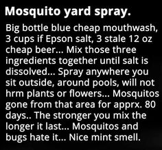 a black and white photo with text describing mosquito yard spray