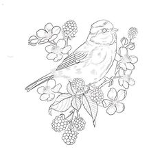 a bird sitting on top of a tree branch with berries and flowers in it's beak