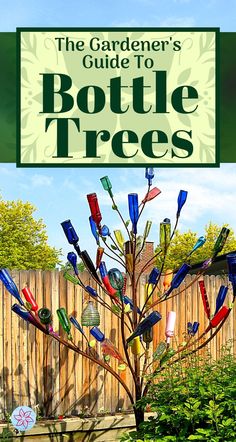 the gardener's guide to bottle trees is shown in front of a wooden fence