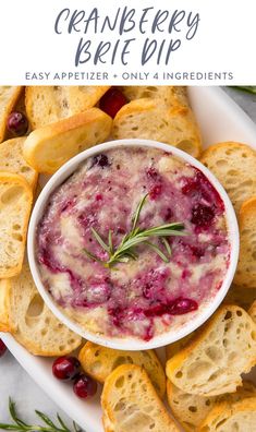 cranberry brie dip in a white bowl surrounded by bread