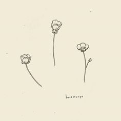 three flowers are shown in black ink on a white paper with the word butterscoop written