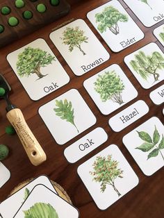 a wooden table topped with lots of cards and green items on top of each other