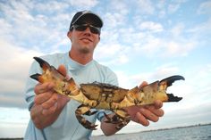 a man holding up a large crab in his hands