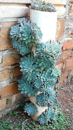 a plant is growing on the side of a brick wall in front of a white vase