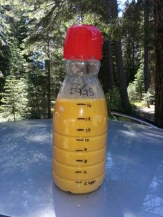 a plastic bottle with yellow liquid sitting on top of a table in front of trees