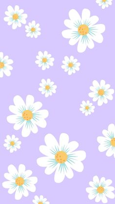 white and yellow flowers on a purple background