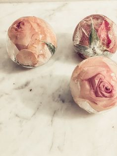 Rose ice balls for chilling champagne #iceballs #roses #diy Ballon Ice Balls Frozen Balloons, Rose Ice Balls, Ice With Flowers Inside, Diy Ice Bucket, Floral Ice Cubes