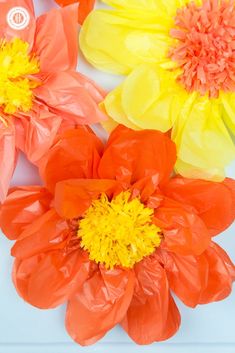 tissue paper flowers are arranged on a white surface with orange and yellow petals in the center