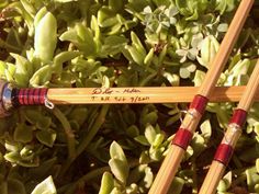 two wooden sticks with writing on them sitting next to some green plants and leaves in the background