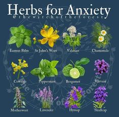 Medicinal Herbs Remedies, Dress Candles, Tea Love, Herbal Medicine Recipes, Medicinal Herbs Garden, Magical Herbs