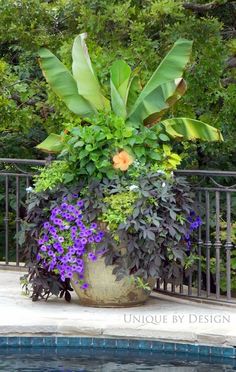 a large potted plant sitting on top of a stone floor next to a fence