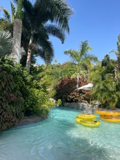 some yellow and blue inflatables are floating on the water near palm trees