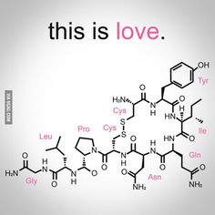 this is love xyrocin and the chemical formulas are written in pink