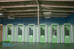 Lime green dog kennels in a row. A happy guest is peeking through one of the gates. The bottom portion of the gates are solid to reduce fence-fighting. The top half of the gates are glass for visualization into the kennels. Each kennel has a locker attached to it to store the occupants' belongings. The built-in clipboard clip helps the staff keep track of the occupants' information. The bone design above each gate numbers the kennels.