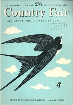 an old book cover with a bird flying in the sky and clouds above it, which reads country fair all about the country's fine line