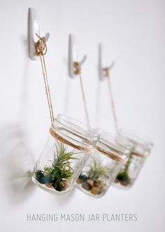 three mason jars filled with plants hanging from strings