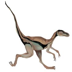 an artist's rendering of a dinosaur running