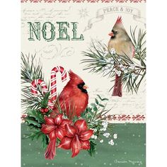 a christmas card with a cardinal and candy cane