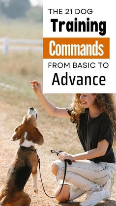 21 dog training commands from basic to advance Dog Training Commands, Dog Commands Training, Excited Dog, Dog Commands, Dog Behavior Training, Dog Minding, Basic Dog Training, House Training Dogs