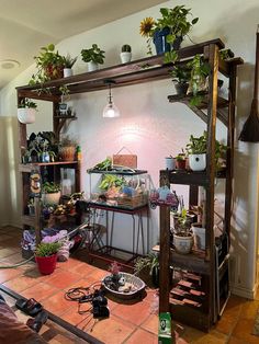 a room filled with lots of potted plants on top of wooden shelvings