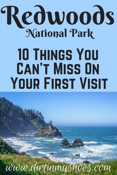 the coast with text that reads redwoods national park 10 things you can't miss on your first visit