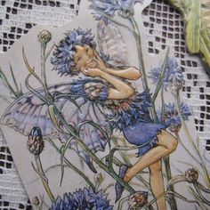 an image of a fairy with flowers on it's back and some other things in the background