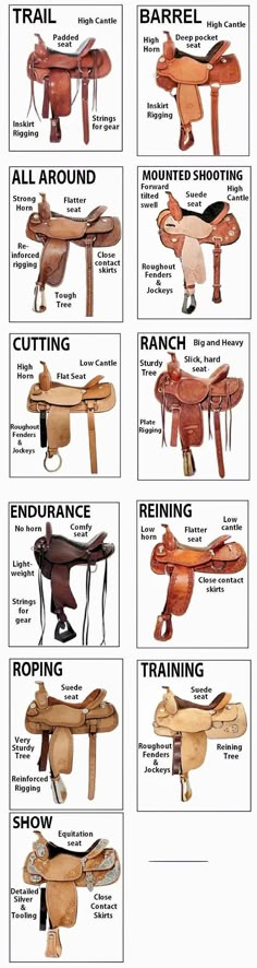 the different types of saddles and their names are shown in this diagram, which shows how