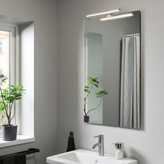 a bathroom sink sitting under a mirror next to a potted green plant in a window sill