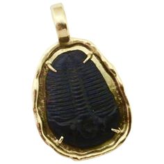 An excellent example of a fossilized trilobite is featured in this one-of-a-kind, 18k yellow gold pendant. Trilobites are a group of extinct archnomorph arthropods that form the class Trilbita. Trilobites are one of the earliest-known groups of arthropods, dating back as much as 60 million years. This is a highly detailed and complete specimen in dark gray stone which contrasts brilliantly against the yellow gold. The pendant is shown in some photographs with a braided leather necklace, sold sep Braided Leather Necklace, Contemporary Necklace, Arthropods, Garnet Pendant, Druzy Quartz, Blue Pendant, Elegant Pendant, Yellow Gold Pendants, Unique Pendant