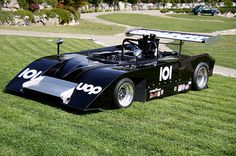 a black race car sitting on top of a lush green field