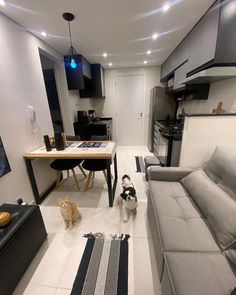 two cats standing in the middle of a living room with black and white striped rugs