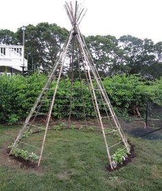 a teepee sitting on top of a lush green field