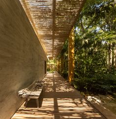 a bench sitting on the side of a wooden walkway next to lush green trees and bushes