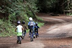 three children riding bikes down a dirt road in the woods with helmets on and trees behind them