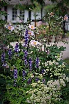 Turn The Page, Sun Garden, Corner Garden, English Cottage Garden, Garden Photography, City Garden, Plant Combinations, Garden Borders, Terrace Garden