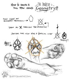 a drawing of how to draw a dog's paw with geometric shapes and lines