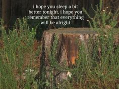 a tree stump in the middle of a forest with a poem written on it that says, i hope you sleep a bit better tonight